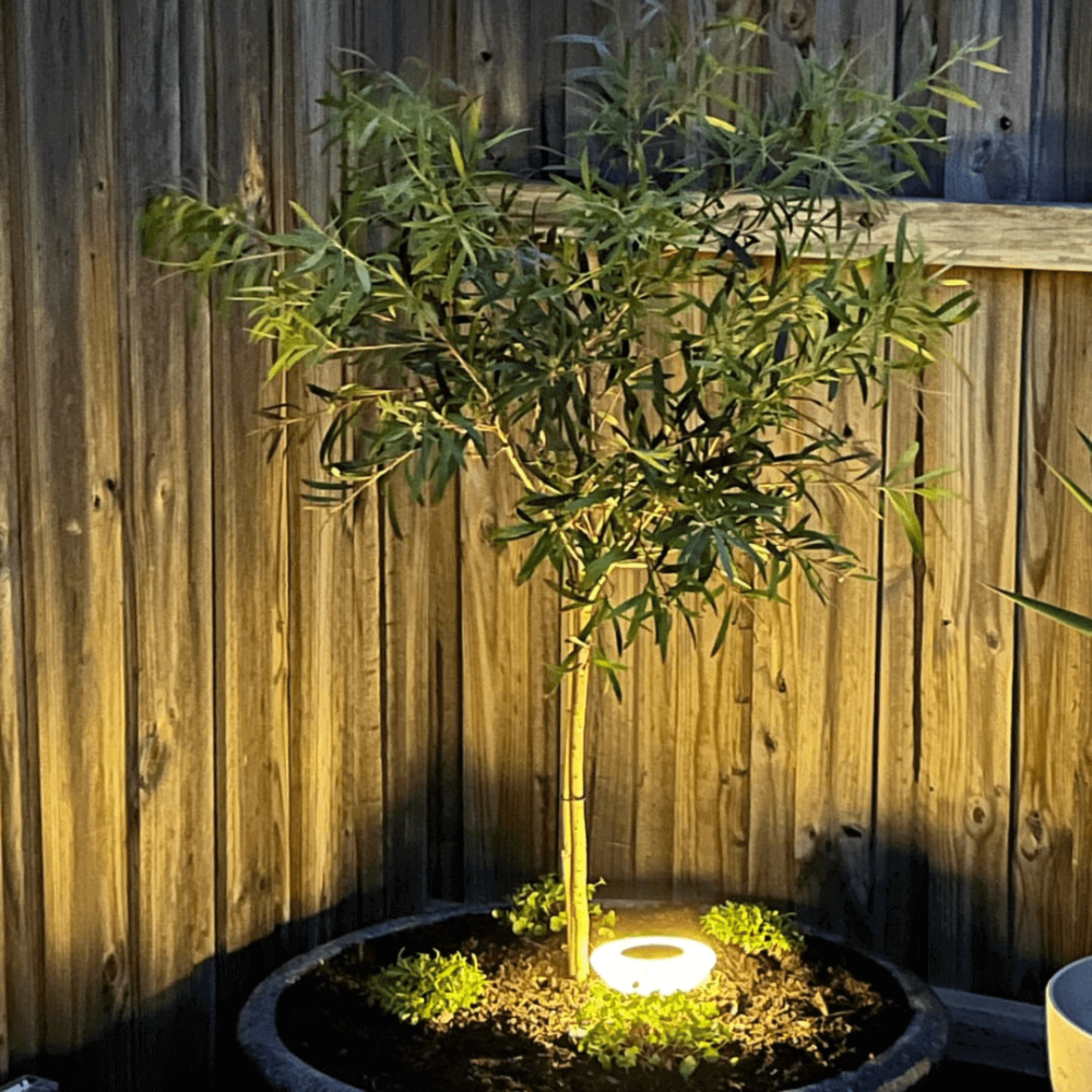 LED Solarleuchten Garten, Wegeleuchten außen IP65